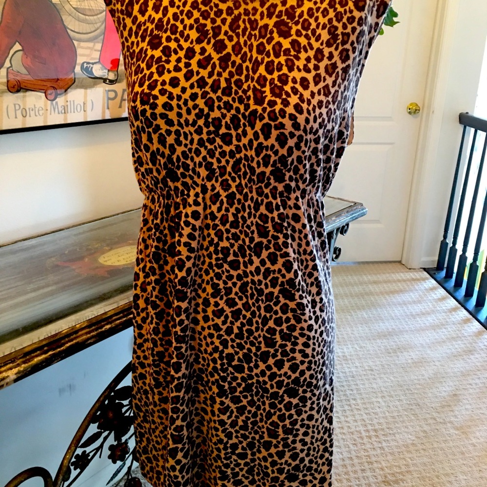 Velvet cashmere/silk leopard dress